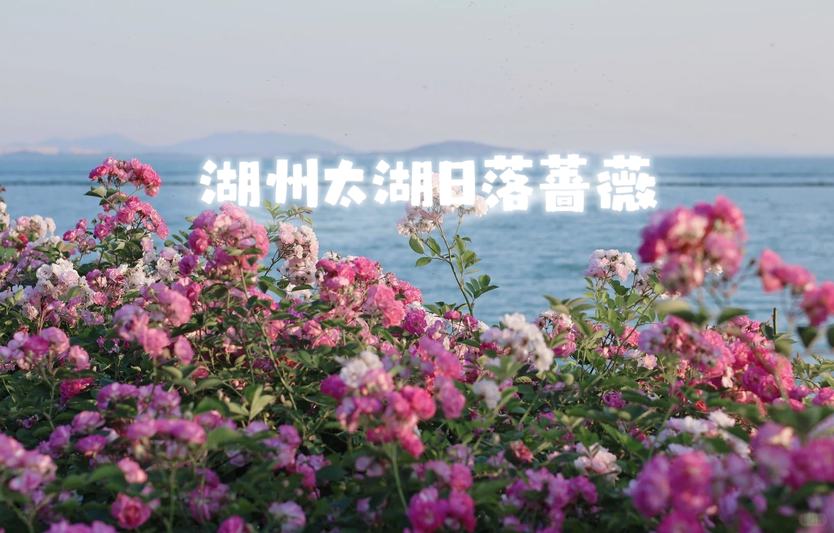 【湖州太湖|休闲1天|已成团】5月16日（领队星光）古镇漫步×文艺村落×太湖日落，烟火气满满~