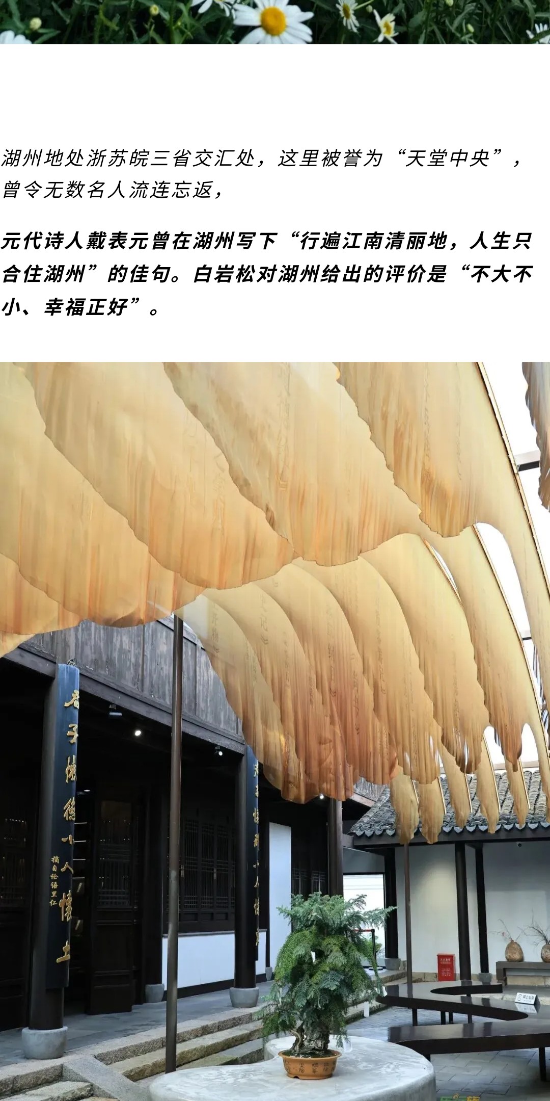 show_701842806_1778812638988_slice_1.jpg
