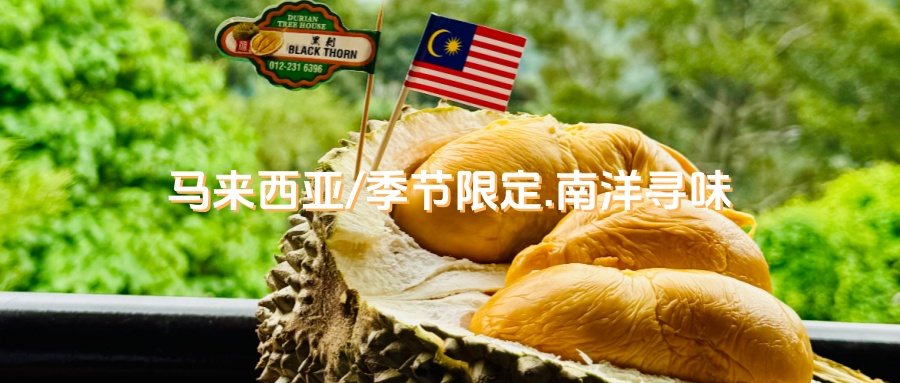 【乐行族全程守护|独立团|马来西亚槟城5天】 7月5日-9日季节限定.槟城榴莲季！